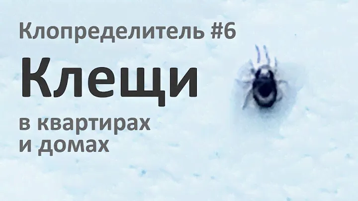 Домашние клещи из квартир и домов наших зрителей